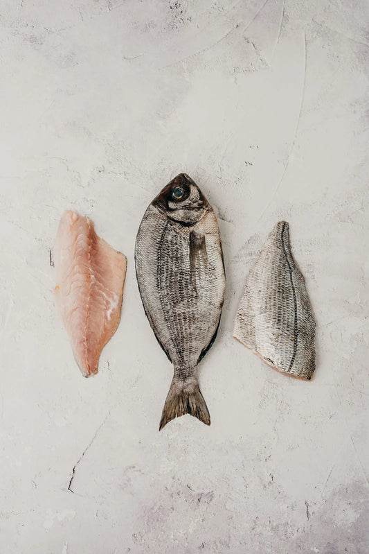 ❄️ Black Bream Fillets
