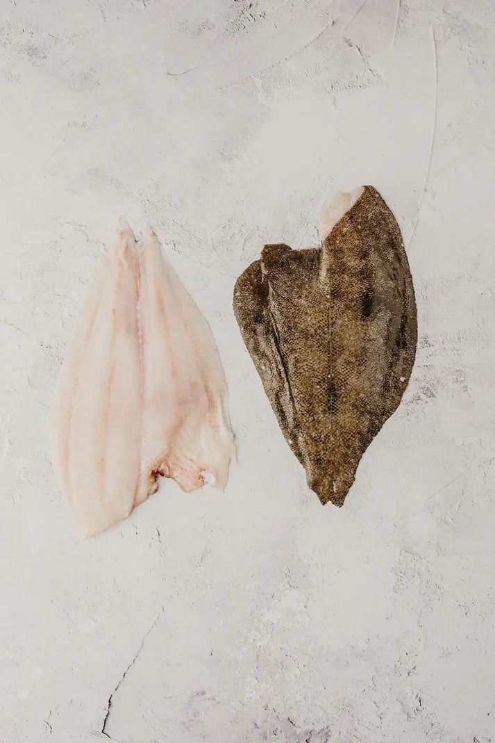❄️ Brill Whole