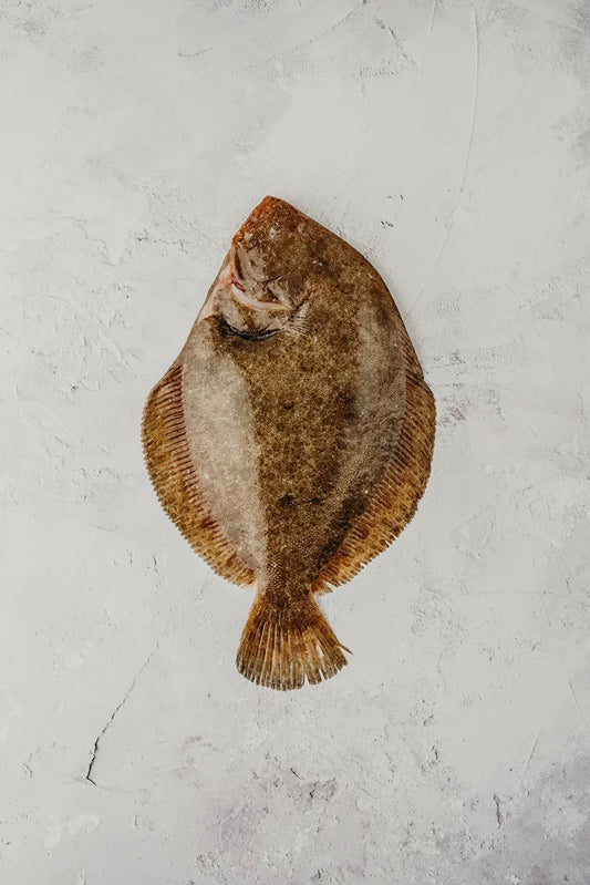 ❄️ Brill Whole