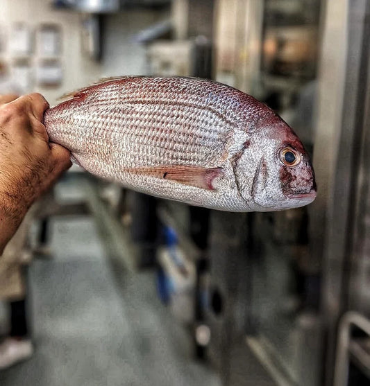 ❄️ Couches Bream Filleted 250g