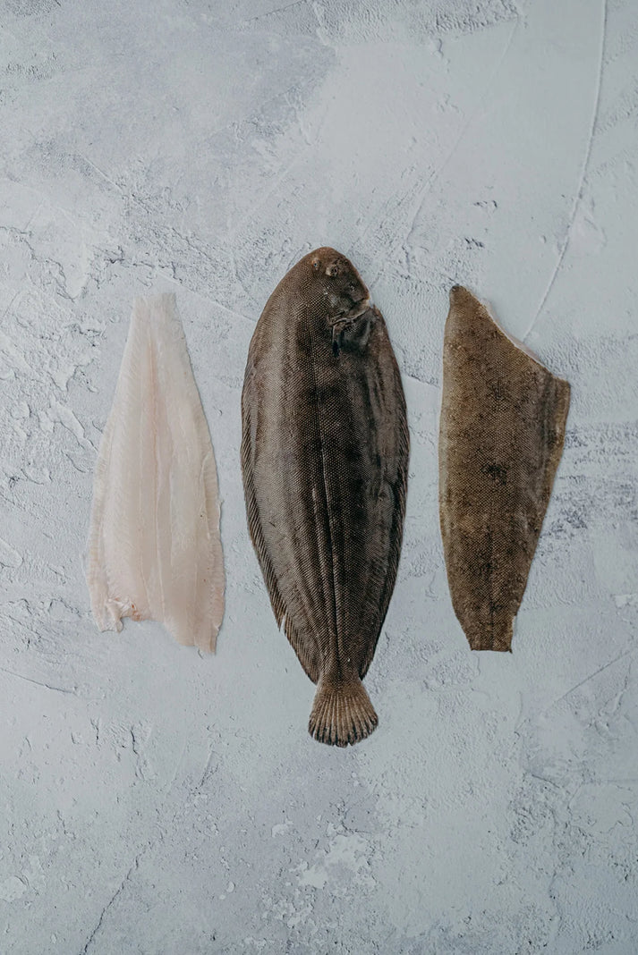 ❄️ Dover Sole Fillets Bundles