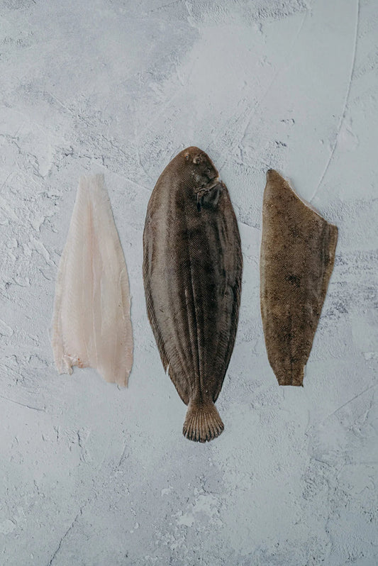 ❄️ Whole Dover Sole Bundles