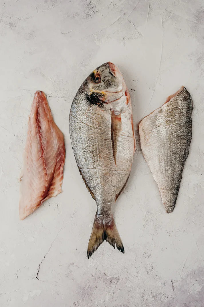 ❄️ Gilthead Bream Whole