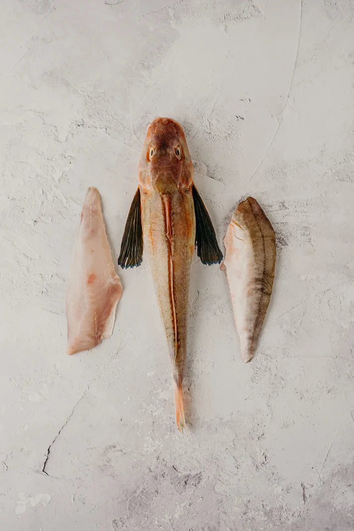 ❄️ Gurnard Fillets