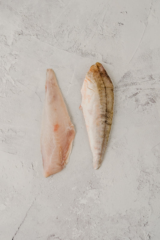 ❄️ Gurnard Fillets