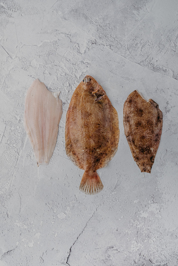 ❄️ Lemon Sole Fillets