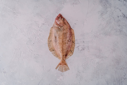 ❄️ Megrim Sole Whole