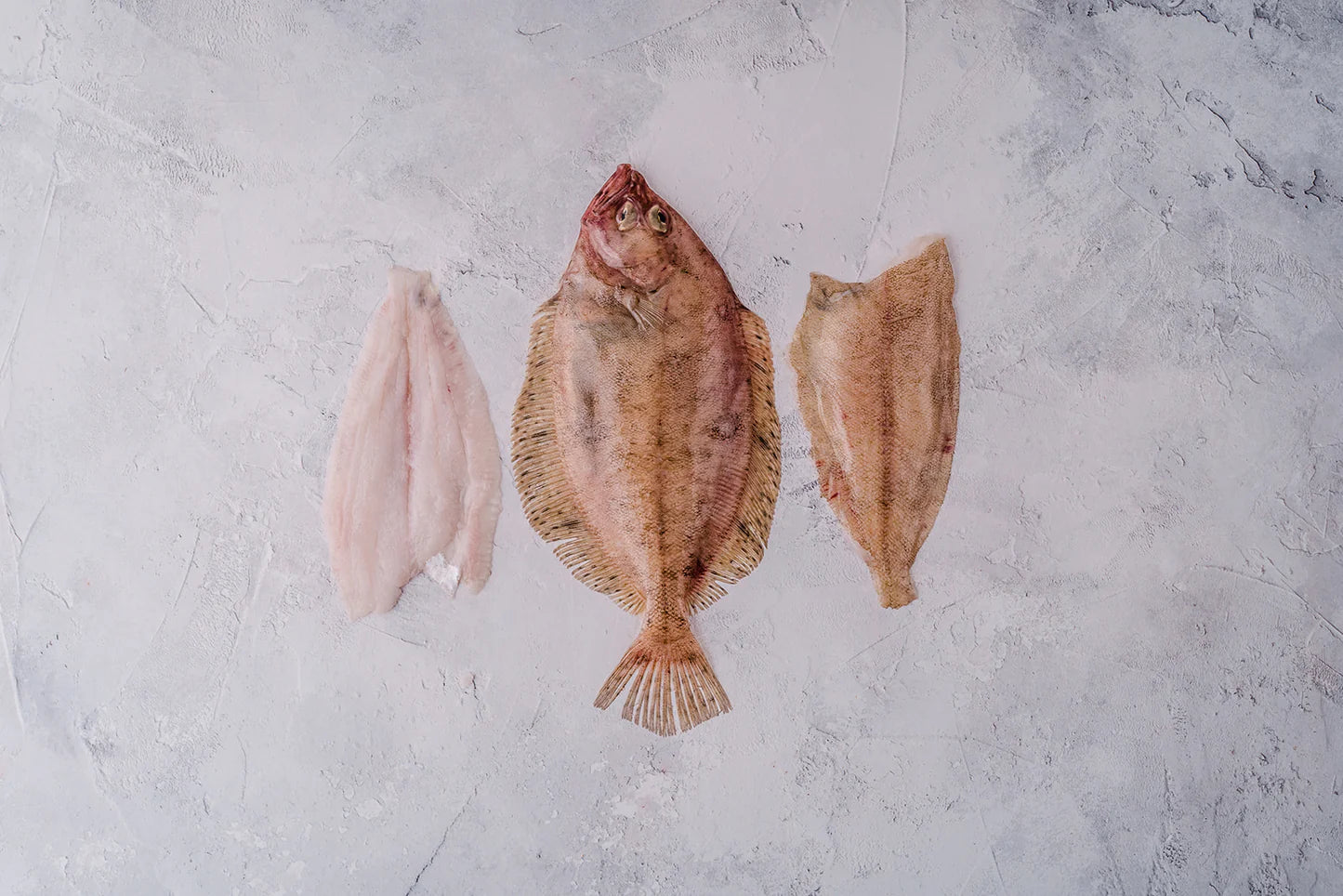 ❄️ Megrim Sole Whole