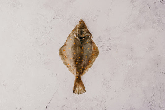 ❄️ Plaice Whole