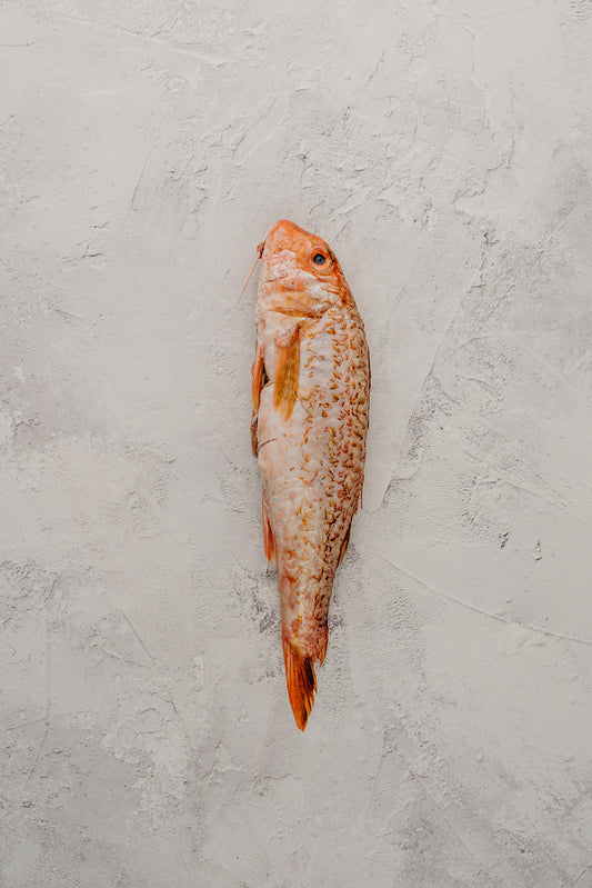 ❄️ Red Mullet Whole