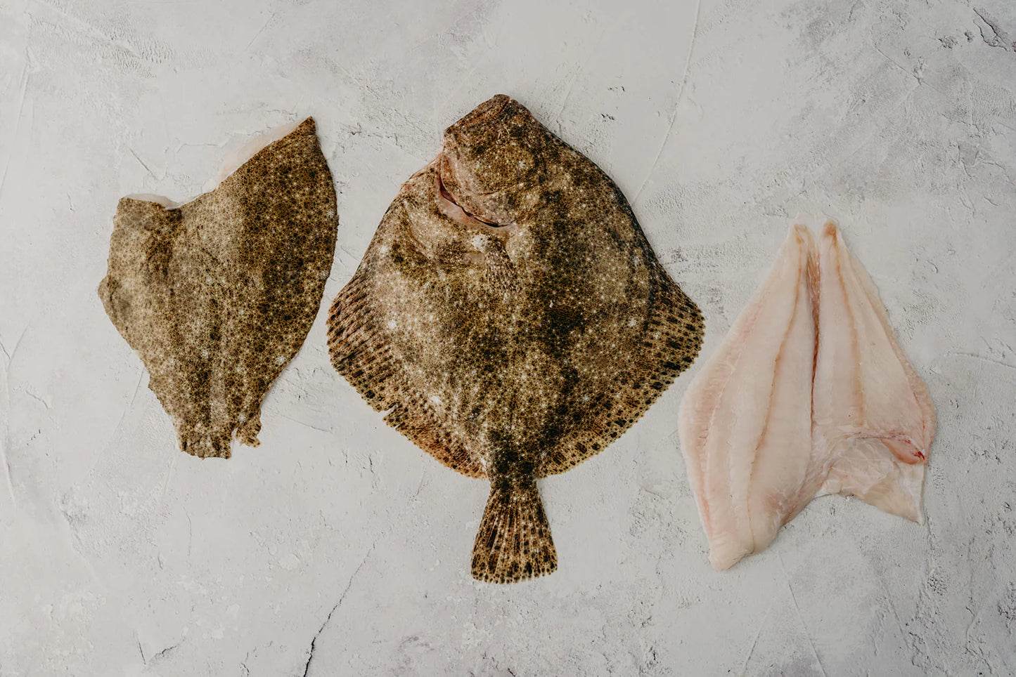 ❄️ Turbot Whole