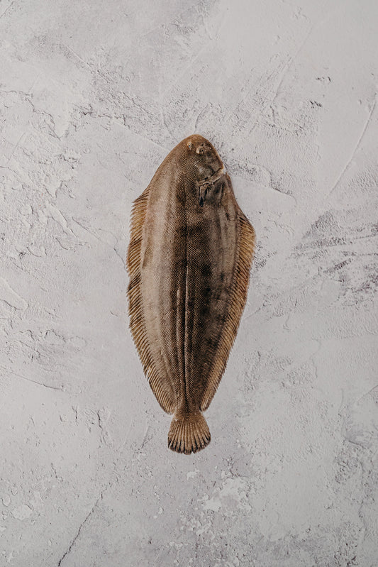 ❄️ Dover Sole Whole, Skin On NOT IN USE