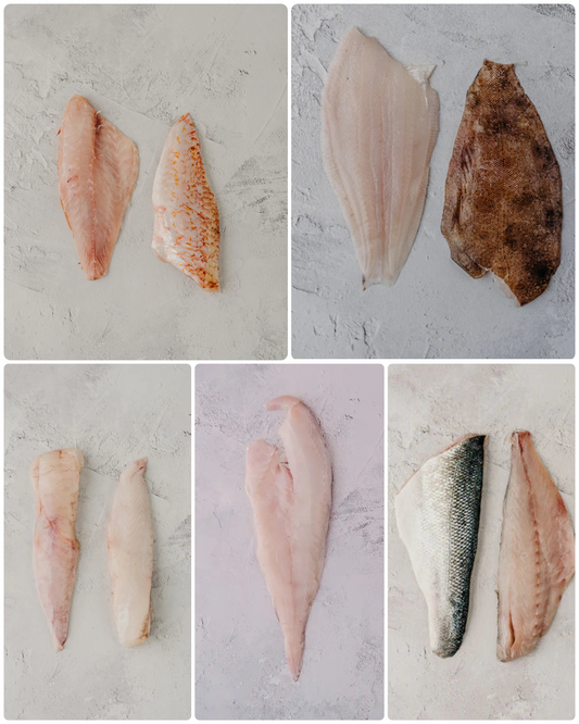❄️ Fish Fillets Bundle - 9 Portions
