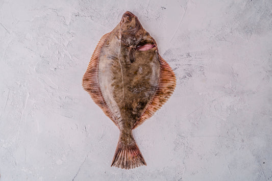❄️ Flounder Whole