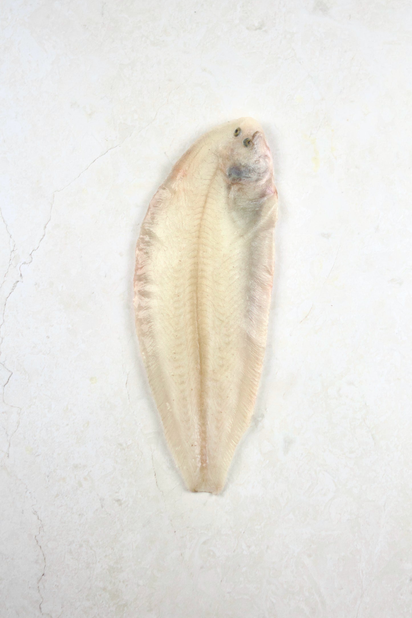 ❄️ Dover Sole Whole, Skinned