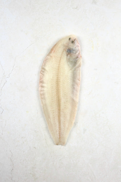 ❄️ Dover Sole Whole, Skinned