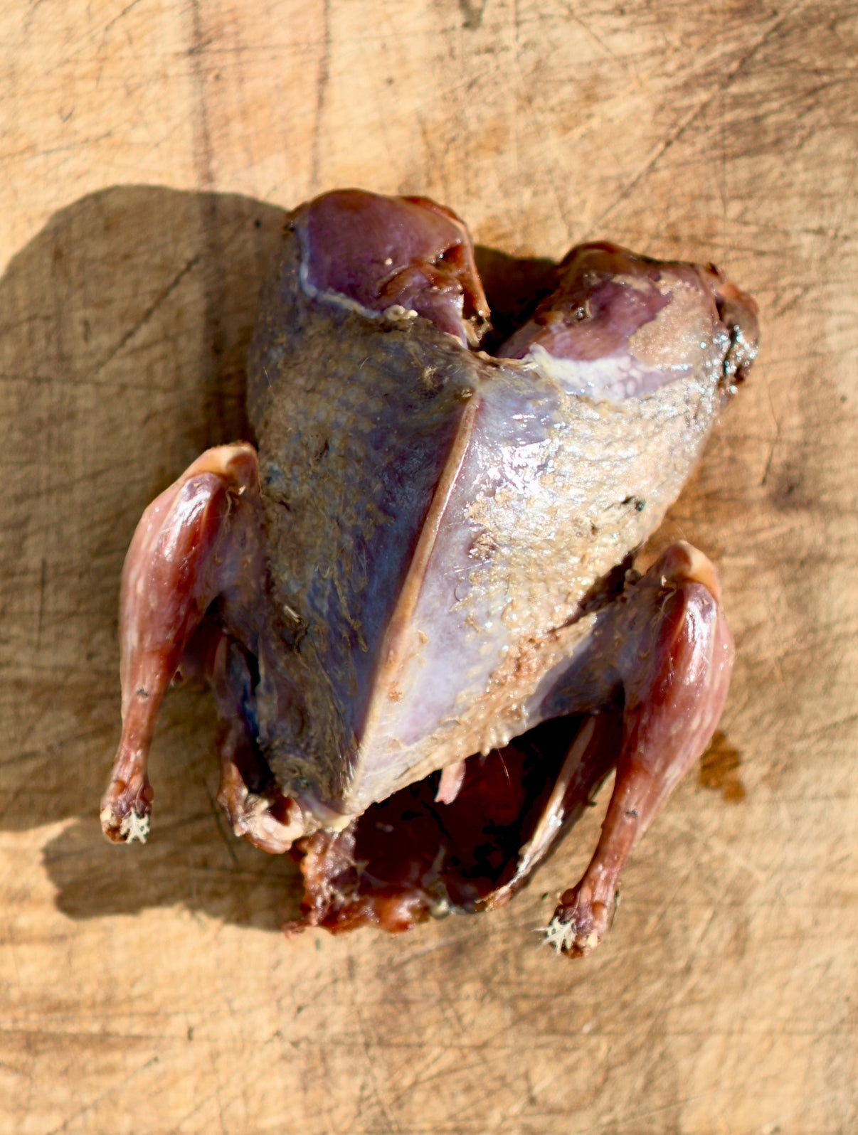 ❄️ Whole Oven Ready Wood Pigeon