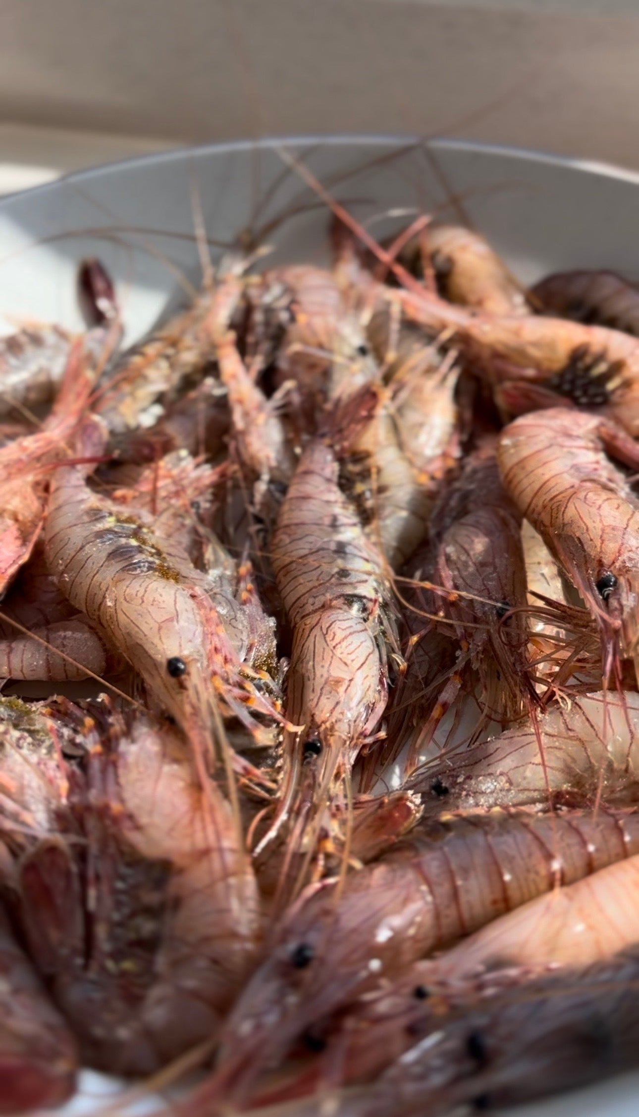 ❄️ Cardigan Bay Wild Prawns | 300g | Serves 4
