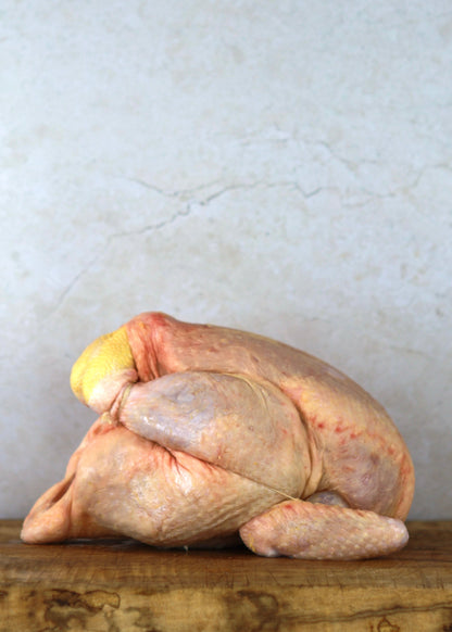 ❄️ Sutton Hoo Cockerel | 3kg | Serves 6-8