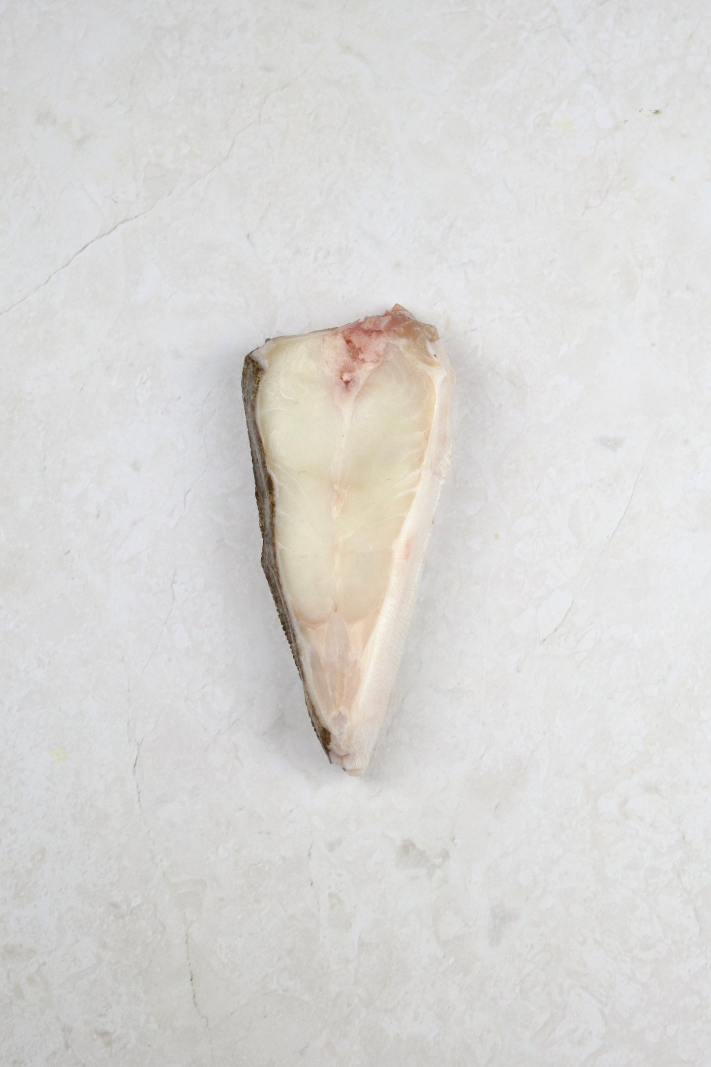 ❄️ Turbot T-bone Steak