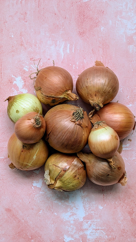 Foskett Farm White Onions | 1 kg