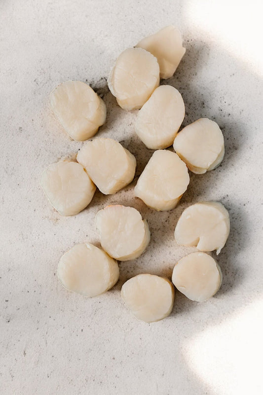 ❄️ Hand-Dived Jersey Scallops | 1 Dozen | Serves 2-3