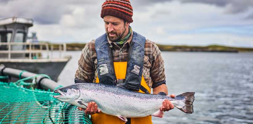 ❄️ Loch Duart Salmon Steaks, 2 x 140g