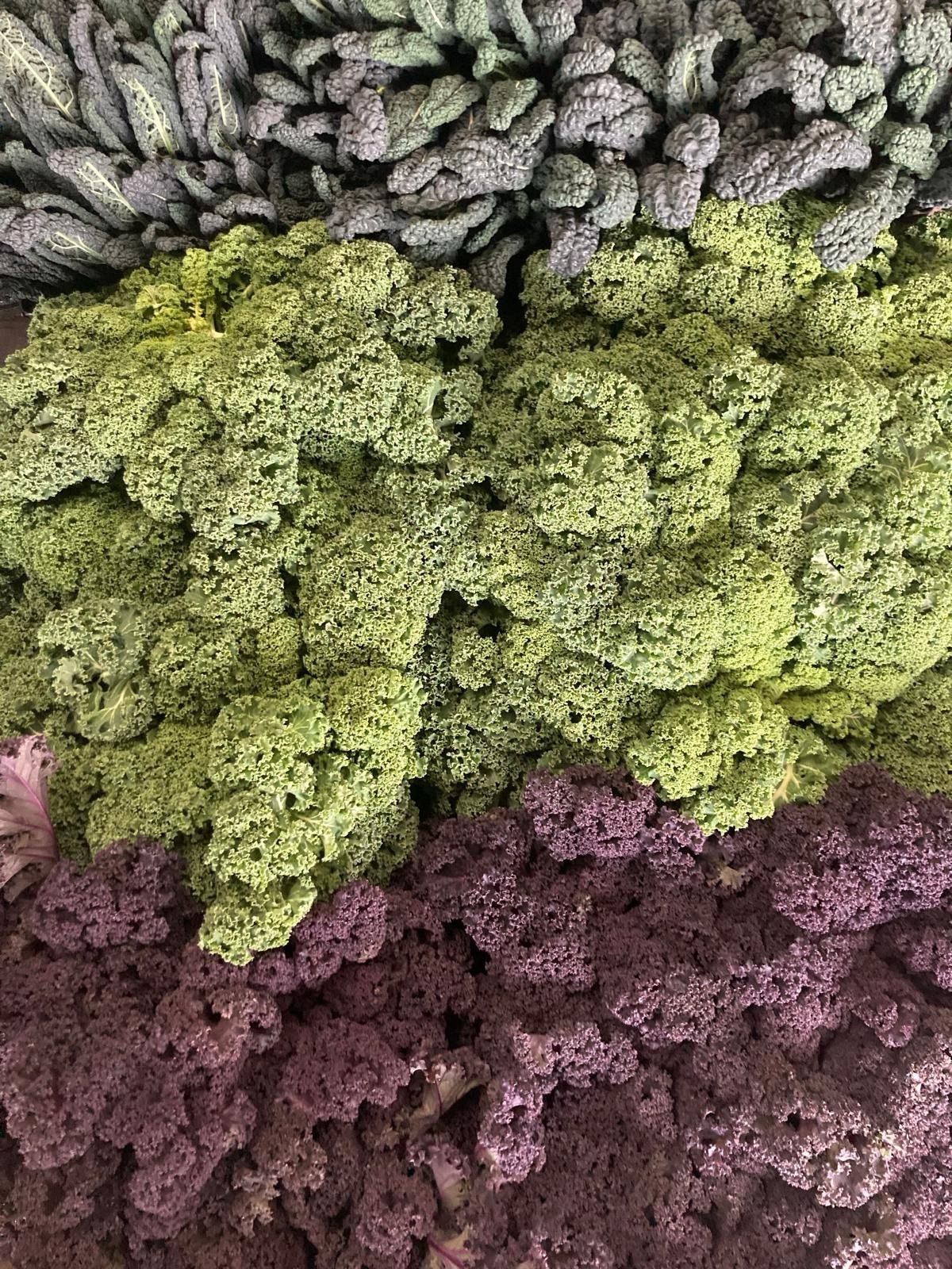 Red Curly Kale | 200g