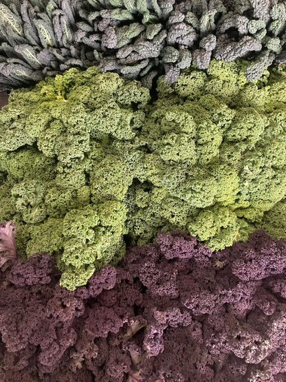 Red Curly Kale | 200g