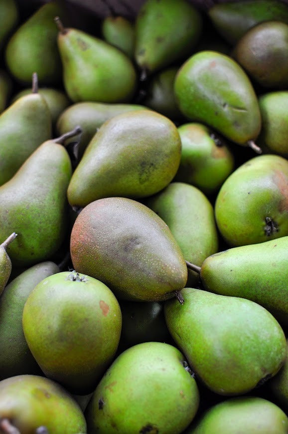 Comice Pears, 1 kg