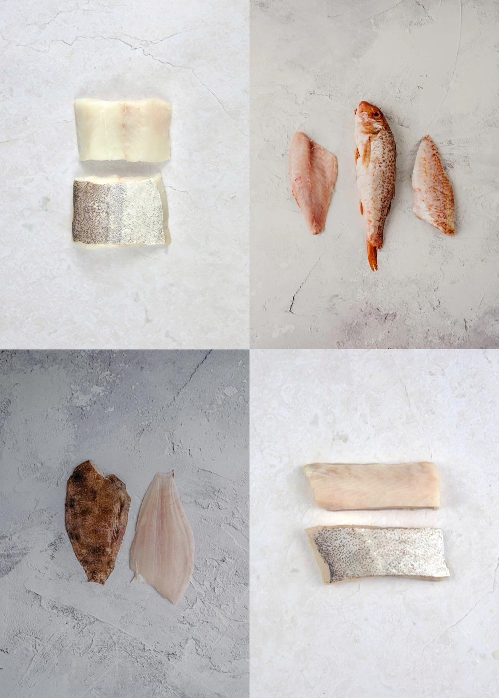 ❄️ Introduction to Fish bundle