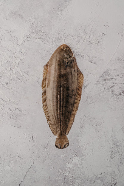 ❄️ Dover Sole Whole, Skinned